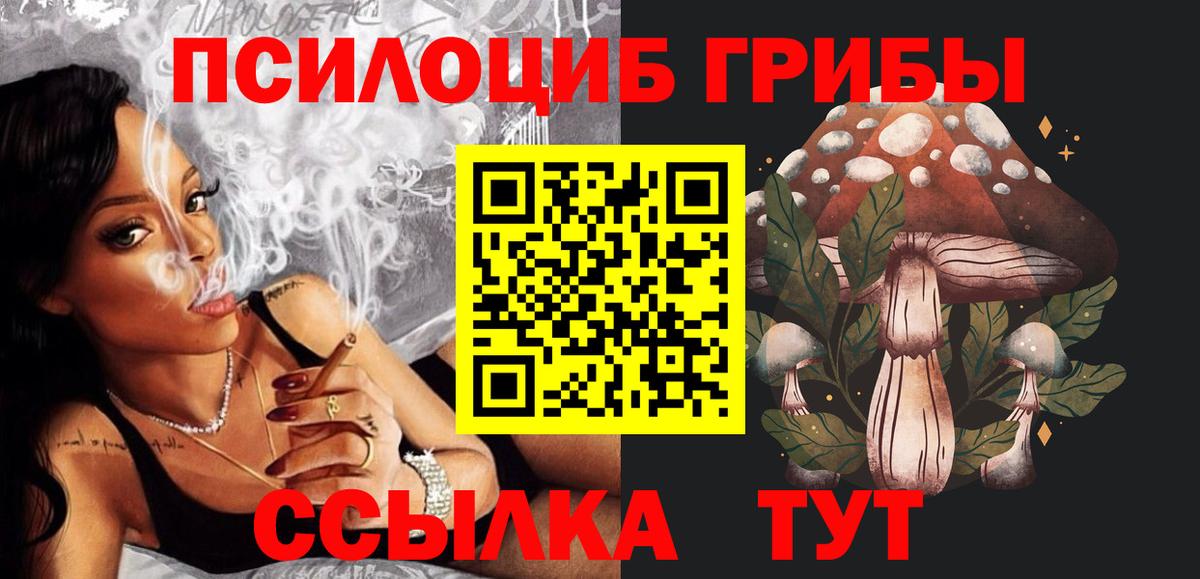 Галлюциногенные грибы Psilocybe  Вход с VPN  закладки  Кириши  Галлюциногенные грибы мицелий 